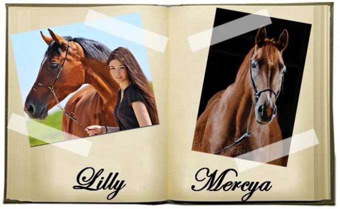 lilly